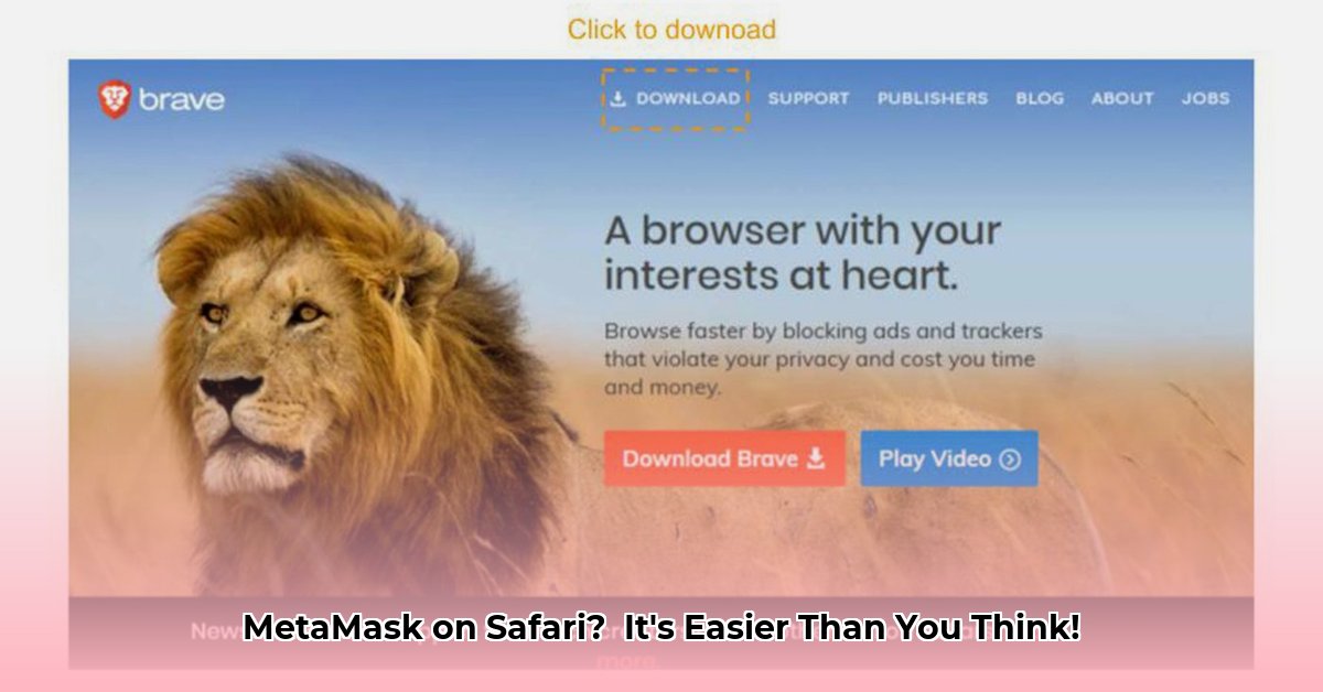 download-metamask-extension-for-safari